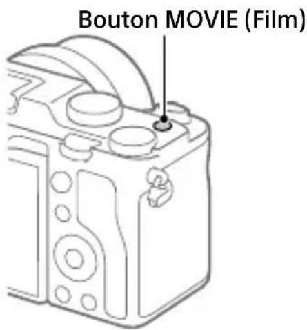 Bouton MOVIE (Film)