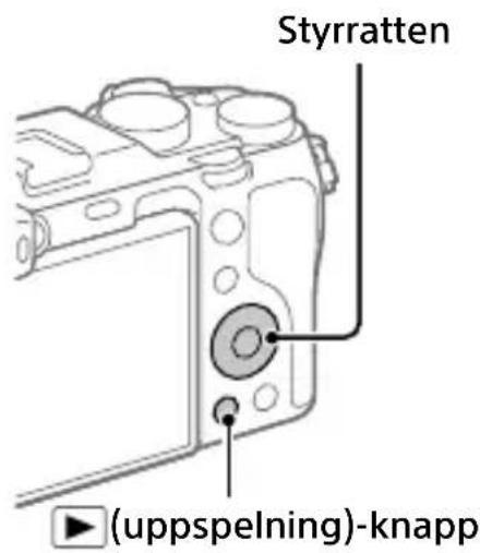 SONY ILCE-7C - Inspelning av filmer - 2