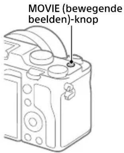 SONY ILCE-7C - Weergave - 1