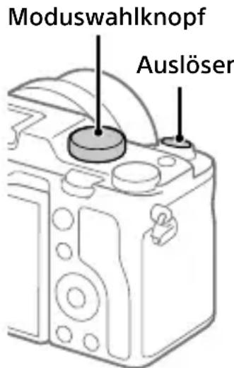 SONY ILCE-7C - Standbildaufnahme - 1