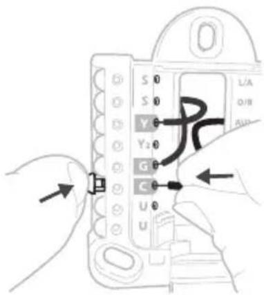 HONEYWELL X2P - Tire suavemente de los cables para comprobar que están bien sujetos. - 1