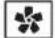 WHIRLPOOL WOI4IS8PM1SXA - ПІДНЯТТЯ ТІСТА - 14