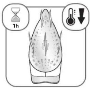 ROWENTA Effective DW1121 - IRON STORAGE * - 4