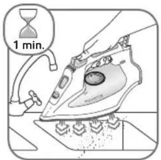 ROWENTA Effective DW1121 - SELF-CLEANING (EVERY 2 WEEKS) * - 12