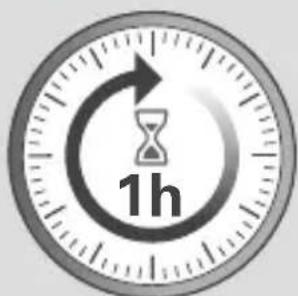 ROWENTA Access' Steam Minute DR7004 - EN - 1