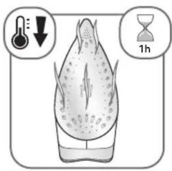 ROWENTA Effective DW1122 - SOLEPLATE CLEANING \* - 1