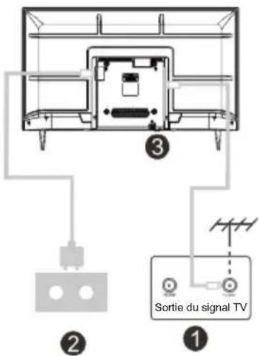 EDENWOOD ED55EA02UHD-EL - Installer et connecter le téléviseur - 2