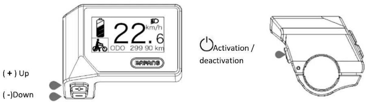 SHARP BK-ED06E - Display - 2