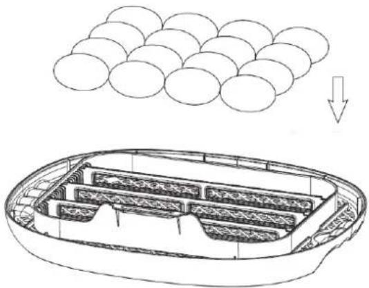 Wiesenfield WIE-IN-100 - ponerhuevos - 1