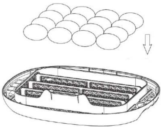 Wiesenfield WIE-IN-100 - Colique ovos - 1