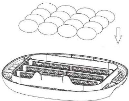Wiesenfield WIE-IN-100 - Tegye a tojast - 1