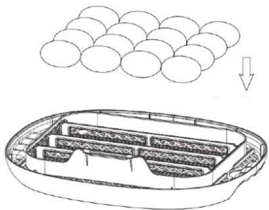 Wiesenfield WIE-IN-100 - Umiescić jajka - 1