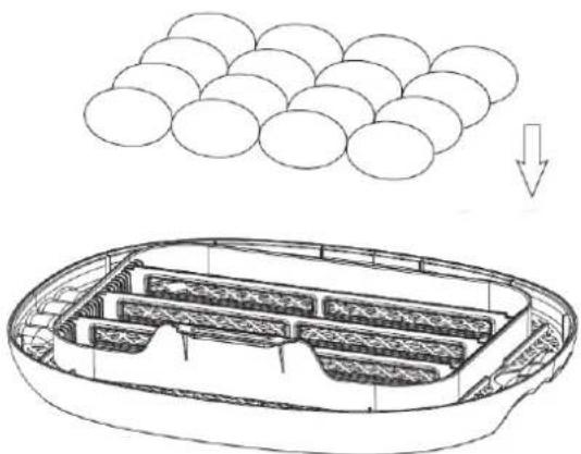 Wiesenfield WIE-IN-100 - Gebruik van het apparatus - 1