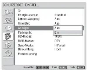 SONY FWD-42LX1 - Anzeige von Eingangssignal, Bildmodus und Monitorstatus - 1