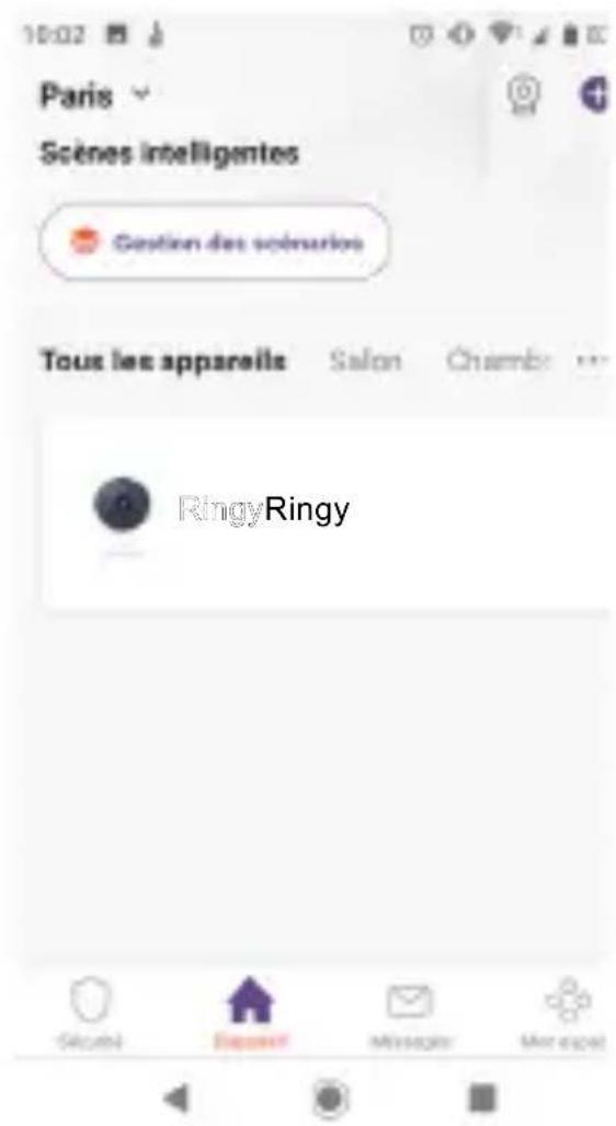 Paris Scènes intelligentes Gestion des scénurios Tous les appareils Salon Chambe RingyRingy Sécuré Deposit Messages Manager