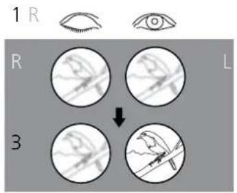 ZEISS SFL 8x50 - ZEISS Customer Service USA - 5