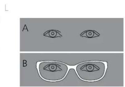 ZEISS SFL 8x50 - ZEISS Customer Service USA - 11