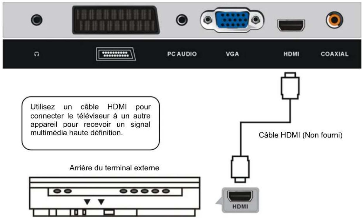 OCEANIC OCEALED2218B7 - Connexions de base - 7