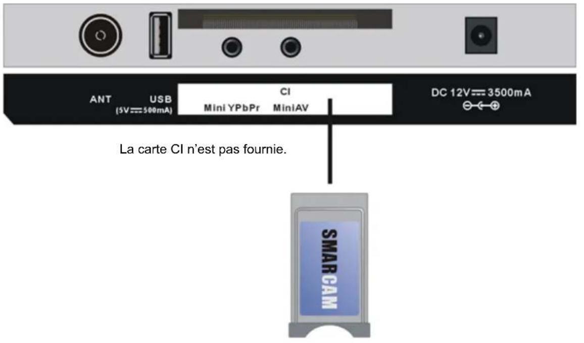 OCEANIC OCEALED2218B7 - Connexions de base - 10