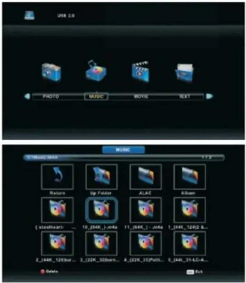 OCEANIC OCEALED22120B2 - Music Menu - 1