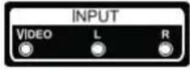 OCEANIC OCEALED22120B2 - Terminal interface - 1