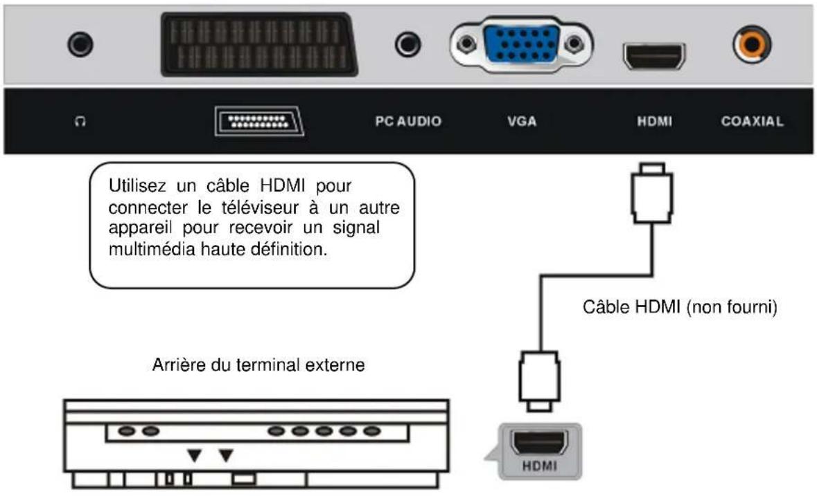 OCEANIC OCEALED241018W7 - Connexions de base - 5