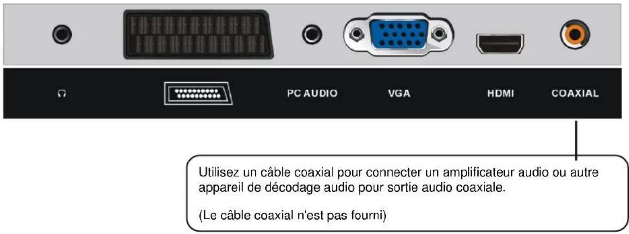 OCEANIC OCEALED241018W7 - Connexions de base - 6