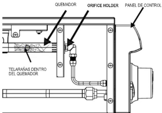 SABER K00SB5317 - ¡CUIDADO CON LAS ARAÑAS! - 2