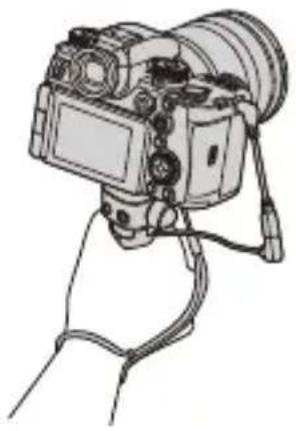 PANASONIC Lumix S1 II E - Trépied à poignée (en option) - 1