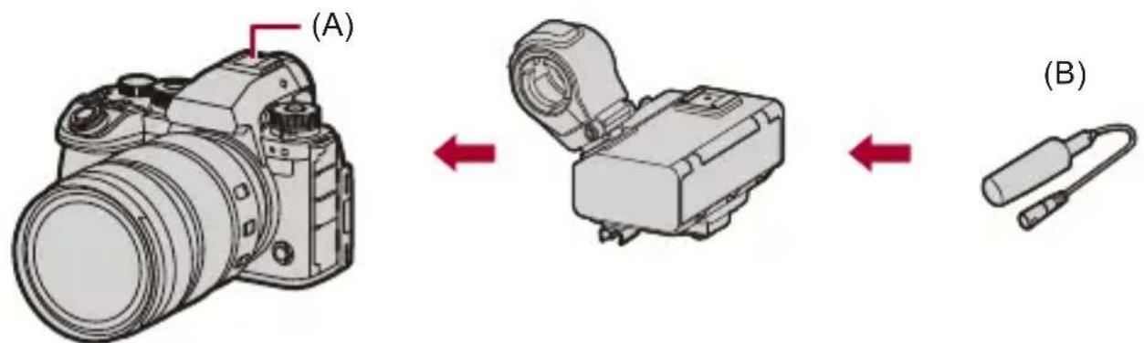 (A) (B)