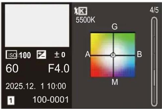 ISO 100 ± 0 60 F4.0 2025.12. 1 10:00 1 100-0001 5500K G A B M 4/5