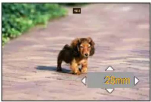 PANASONIC Lumix S1 II E - Utilisation du [Zoom de recadrage (Photo)] - 1