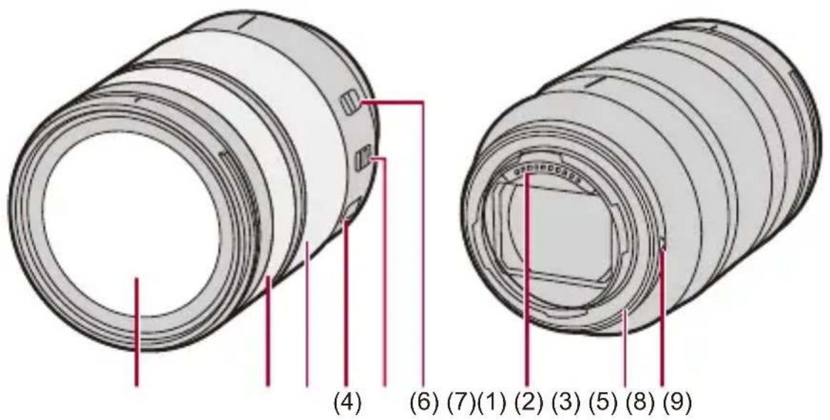 PANASONIC Lumix S1 II E - Objectif fourni - 1