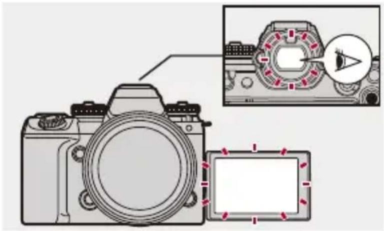 PANASONIC Lumix S1 II E - Affichage simultané sur l'écran et dans le viseur - 1