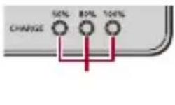 PANASONIC Lumix S1 II E - Indications des témoins de charge - 4