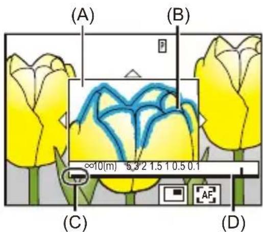 (A) (B) ≈10(m) 5.3/2 1.5 1 0.5 0.1 (C) (D)