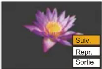 Suiv. Repr. Sortie
