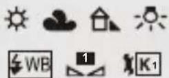 PANASONIC Lumix S1 II E - Ecran d'enregistrement - 4