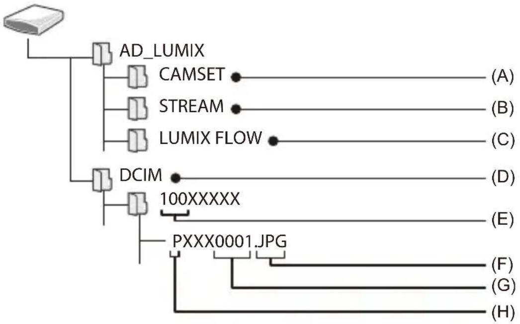 PANASONIC Lumix S1 II E - Structure des dossiers d'une carte - 1