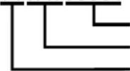 Numatic TBL4045 - PT - 2