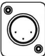 AFX CLUB-WHITE450-IP - 2