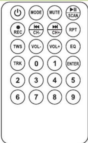 IBIZA SOUND PORT12VHF-BK-MKII-POOLPACK - REMOTE CONTROL - 1