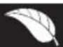 BRANDT BT16524Q - UMWELT - 1