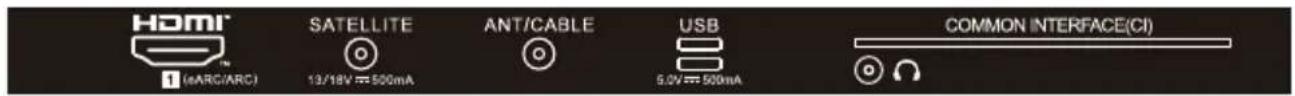 HOMI 1 (eARG/ARC) SATELLITE 13/18V ≈ 500mA ANT/CABLE 6.0V ≈ 500mA USB COMMON INTERFACE(CI)