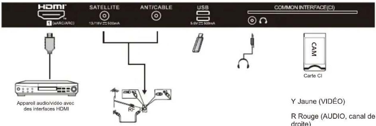 HDMI 1 (eARCIARC) SATELLITE 13/18V 500mA ANT/CABLE USB 5.0V 500mA COMMON INTERFACE(CI) Appareil audio/vidéo avec des interfaces HDMI RF CAM Carte CI Y Jaune (VIDÉO) R Rouge (AUDIO, canal de droite)