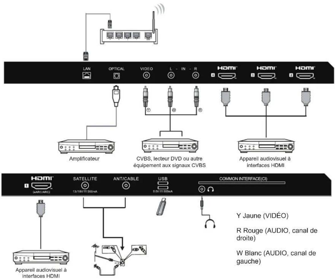 LAN OPTICAL VIDEO L - IN - R HDMI HDMI HDMI Amplificateur CVBS, lecteur DVD ou autre équipement aux signaux CVBS Appareil audiovisuel à interfaces HDMI HDMI (eARC/ARC) SATELLITE 13/16V ≈ 500mA ANT/CABLE USB 5.0V ≈ 500mA COMMON INTERFACE(CI) Y Jaune (VIDÉO) R Rouge (AUDIO, canal de droite) W Blanc (AUDIO, canal de gauche)
