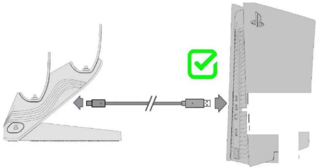 PDP Afterglow Wave Dual Charger - Si prega di notare quanto segue: - 1