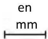 HOOVER HO6 M5C3YTB - MANTENIMIENTO - 17