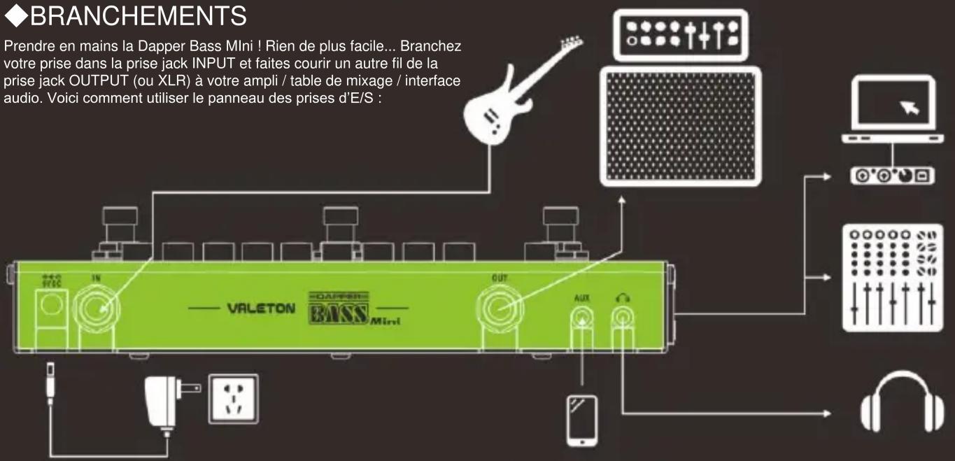 Valeton Dapper Bass Mini - BRANCHEMENTS - 1