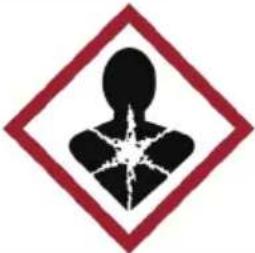 Klarstein Phantasma Calor - Mesures de précaution particulières - 12